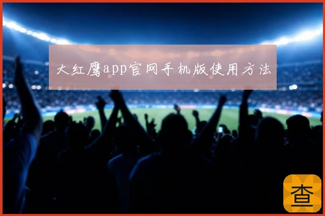 大红鹰app官网手机版使用方法