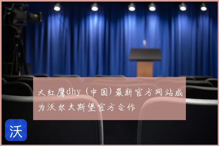 大红鹰dhy (中国)最新官方网站成为沃尔夫斯堡官方合作